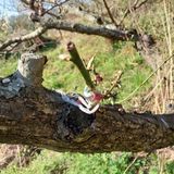 섬진강님의 작성글 사진