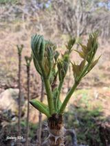 박성균님의 작성글 사진