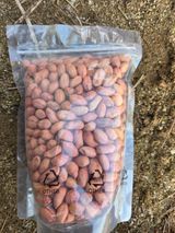 김윤회님의 작성글 사진