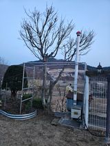 팜모닝 기타작물·영농일지 게시글 이미지