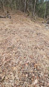 임상근님의 작성글 사진