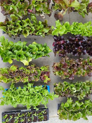 김해열님의 작성글 사진