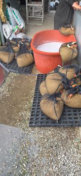 강연수님의 작성글 사진