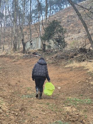엉뚱님의 기타작물 · 영농일지 작성글 사진