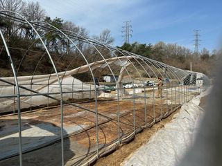 임영택님의 기타작물 · 영농일지 작성글 사진