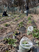 팜모닝 기타작물·영농일지 게시글 이미지