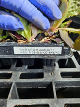 김해열님의 작성글 사진