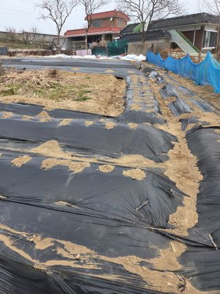 백현호님의 감자 · 영농일지 작성글 사진