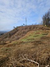 팜모닝 기타작물·영농일지 게시글 이미지