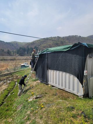 하태훈님의 기타작물 · 영농일지 작성글 사진