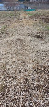 남궁봉님의 작성글 사진