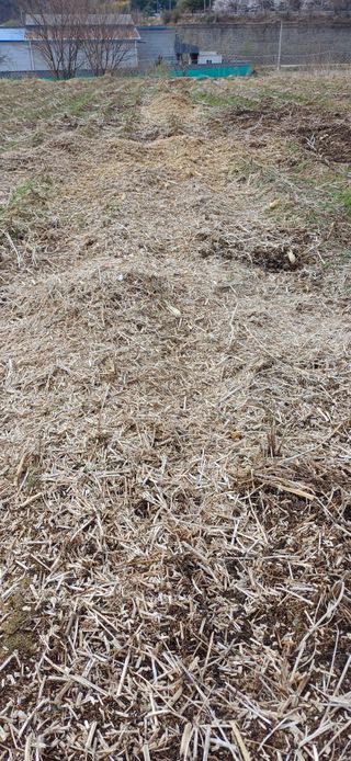 남궁봉님의 기타작물 · 영농일지 작성글 사진