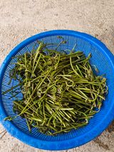 팜모닝 기타작물·영농일지 게시글 이미지