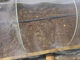 오세창님의 감자 · 영농일지 작성글 사진