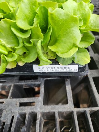 김해열님의 기타작물 · 영농일지 작성글 사진