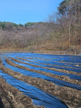 감7768님의 기타작물 · 영농일지 작성글 사진