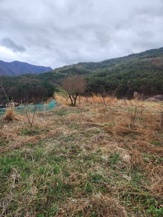 표고버섯3641님의 기타작물 · 영농일지 작성글 사진