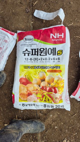 김용훈 님의 토마토 · 영농일지 작성글 사진