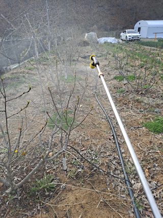 이한재님의 복숭아 · 영농일지 작성글 사진