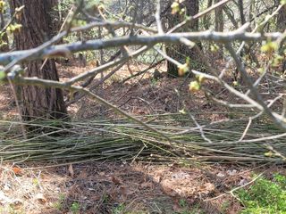이용찬 열매마농원님의 작성글 사진