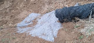 이복길님의 기타작물 · 영농일지 작성글 사진