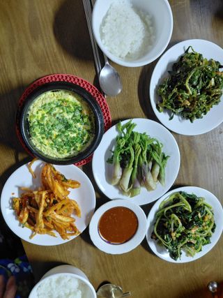 별빛농장지기님의 기타작물 · 영농일지 작성글 사진