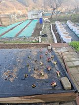 이명희님의 작성글 사진