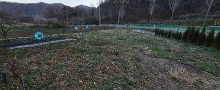 강호지인님의 사과 · 영농일지 작성글 사진