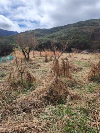 표고버섯3641님의 기타작물 · 영농일지 작성글 사진