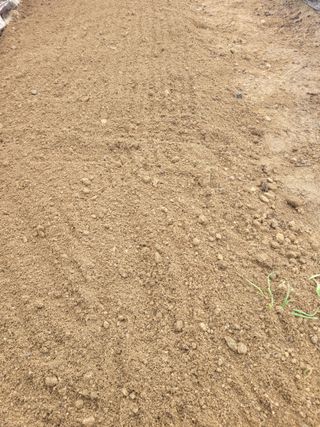 알렉산더님의 시금치 · 영농일지 작성글 사진