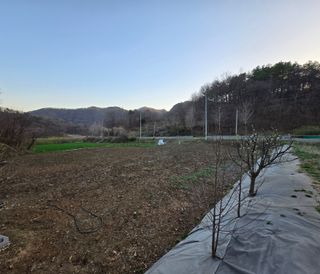 강호지인님의 사과 · 영농일지 작성글 사진