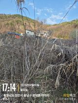 매실21434님의 작성글 사진