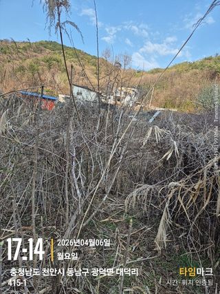 매실21434님의 기타작물 · 영농일지 작성글 사진