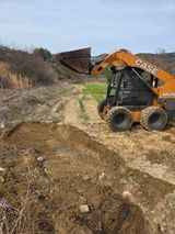 팜모닝 콩·영농일지 게시글 이미지