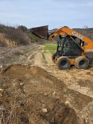 두릅나무9056님의 작성글 사진