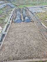 이명희님의 작성글 사진