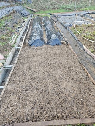 이명희님의 기타작물 · 영농일지 작성글 사진