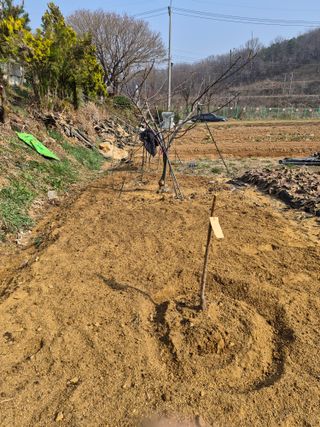 써니님의 기타작물 · 영농일지 작성글 사진
