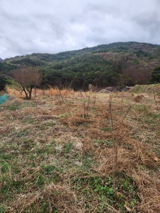 표고버섯3641님의 기타작물 · 영농일지 작성글 사진