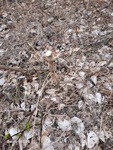 조연만님의 작성글 사진