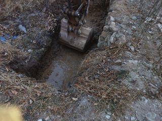 바람소리님의 기타작물 · 영농일지 작성글 사진