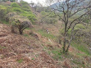 쌍둥이농장님의 기타작물 · 영농일지 작성글 사진