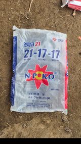 팜모닝 옥수수·영농일지 게시글 이미지