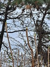 조연만님의 작성글 사진