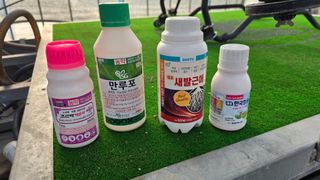 백보승님의 기타작물 · 영농일지 작성글 사진