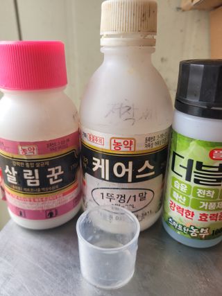 알렉산더님의 양파 · 영농일지 작성글 사진