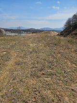 팜모닝 콩·영농일지 게시글 이미지