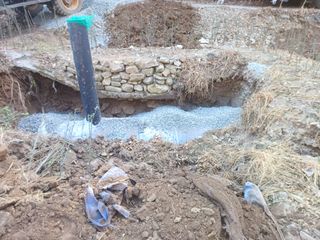 바람소리님의 기타작물 · 영농일지 작성글 사진