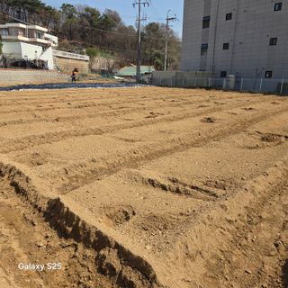 만대산후손님의 기타작물 · 영농일지 작성글 사진