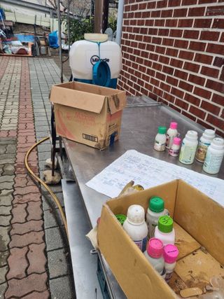 김용대님의 마늘 · 영농일지 작성글 사진